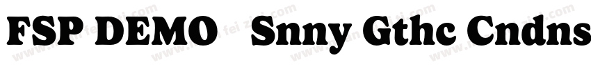 FSP DEMO   Snny Gthc Cndnsd Bk Regu字体转换
